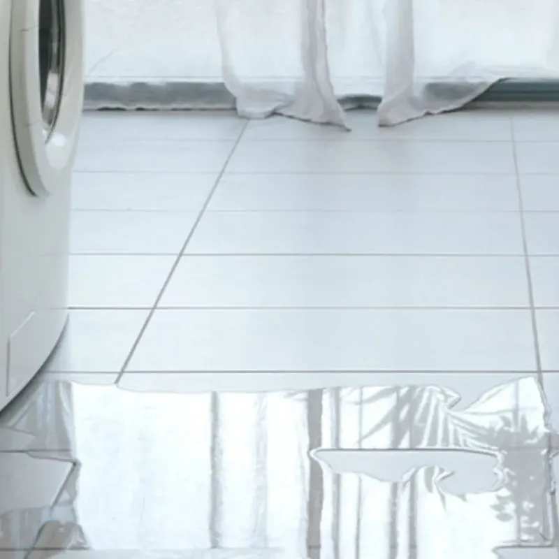 Appliance Leak Cleanup in Camas, WA