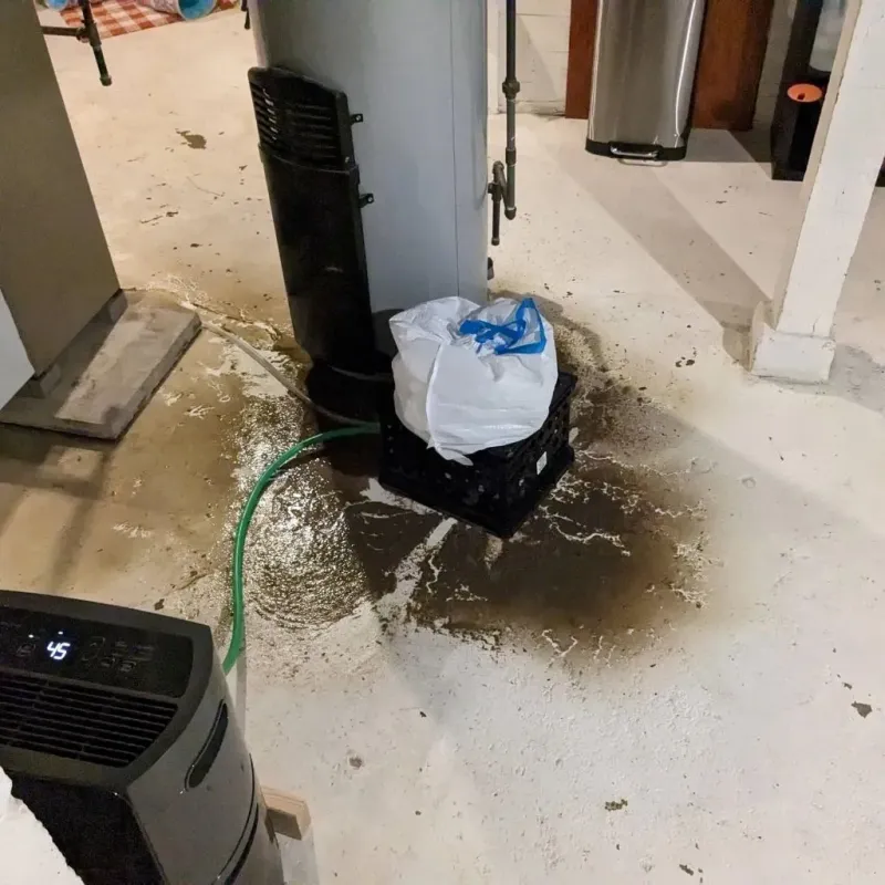 Sewage Backup Cleanup Service in Camas, WA